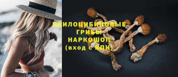 дживик Козловка