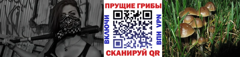 Галлюциногенные грибы мицелий  Барнаул 